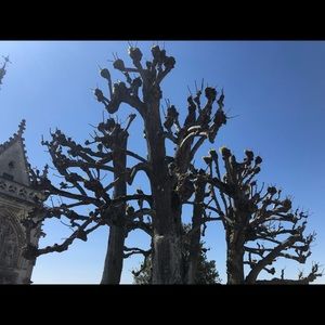 Meet your Posher, Bobby